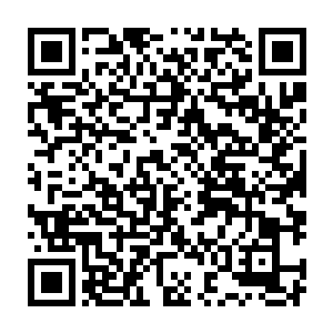 只能看到那挽起的青丝和那惊鸿一瞥的白颈以及小半边光滑美丽的脊背二维码生成