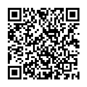 只能看着所有的一切在敌人惊涛骇浪般的攻势下渐渐瓦解二维码生成