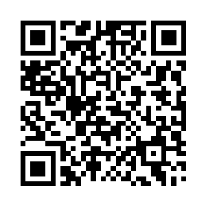 只能看见一小块头皮和两只前爪的小豹子说道二维码生成