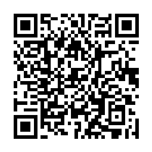 只能眼看着这个古藤大茧一点一点地向着自己等人压缩而来二维码生成