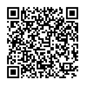 只能眼睁睁地看着众多的王族血脉与辉煌灿烂的王宫一起化为飞灰二维码生成