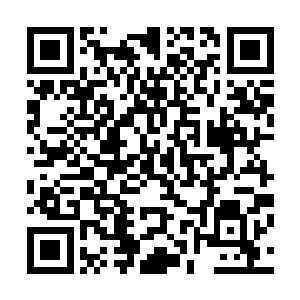 只能眼睁睁地看着张辽擒去自己麾下不少精锐的轻骑和战马二维码生成