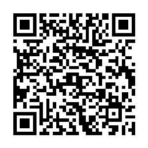 只能眼睁睁地看着萧强一根一根地往下拔他的头发二维码生成