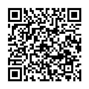 只能眼睁睁地看着那个矮子的头生生撞向大石狮子二维码生成