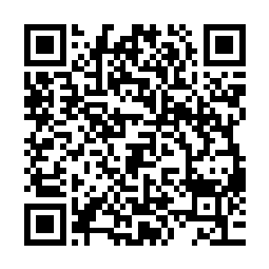 只能眼睁睁的感觉着王岚的身体将我最后一丝丝力量完全榨干二维码生成