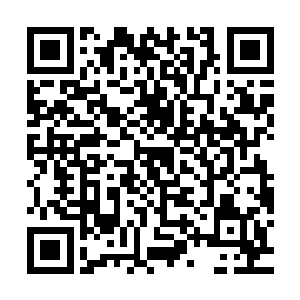 只能眼睁睁的感觉着自己体内的念力和那符文的力量互相僵持着二维码生成