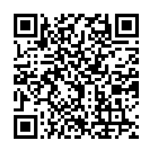 只能眼睁睁的望着恐怖的雷龙朝着自己的身上飞掠而来二维码生成