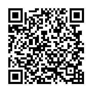 只能眼睁睁的望着自己的攻击直接迎上了那银白色的光幕二维码生成