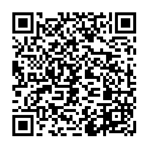 只能眼睁睁的看着他从一个瘦小的孩童慢慢的强大到如今无人敢惹的厉王二维码生成