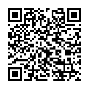 只能眼睁睁的看着何飞的拳头落到自己的脑袋之上二维码生成