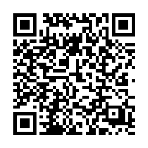 只能眼睁睁的看着这一小团火焰落在了它的身躯之上二维码生成