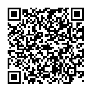 只能眼睁睁的看着那一头紫燕尖长的鸟喙直接撞击在自己胸口上面二维码生成