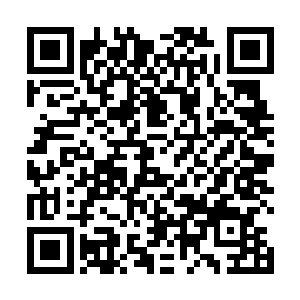 只能眼睁睁的看着那星空上的神罚之云变得越来越浓郁二维码生成