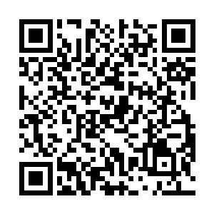 只能眼睁睁看着这灭了百战城的强者就此消失在视野中二维码生成