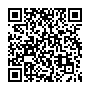 只能祈祷下午两点之前能把机甲修好并且卖出去二维码生成