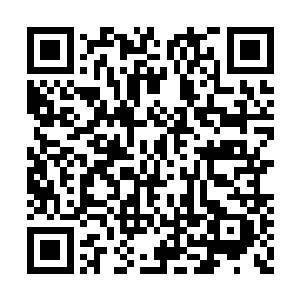 只能等明日去请教月璃和北辰星那两个家伙一番二维码生成