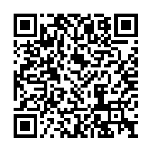 只能让剑尘硬生生的止住自己内心中的那股冲动二维码生成