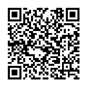 只能说万明宗的弟子和华阳宗的弟子比起来太弱了二维码生成