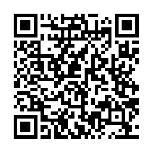 只能说我们公司内部有些人被金钱之类的东西蒙蔽了双眼二维码生成