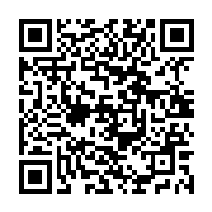 只能说朱能神皇或者说朱雀一族此刻所面临的问题二维码生成