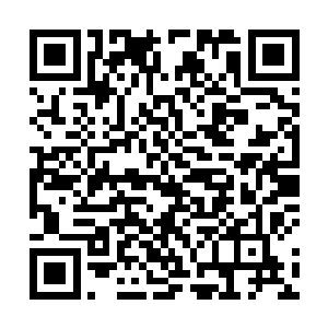 只能说豹女这个英雄实在是太影响伤害的计算和估计了二维码生成