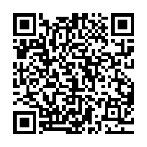 只能说这些奇特的生灵天生便对我辈武者的小乾坤有巨大裨益二维码生成