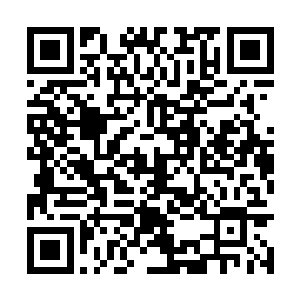 只能说陈诚刚才的那一波支援实在是太出人意料了二维码生成