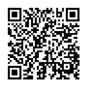 只能走马观花似的将这些景象记下一些模糊的印象二维码生成