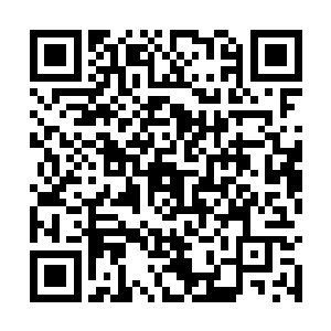 只能远远的看着好像你俩坐在那吃9被安保人员撵走了二维码生成