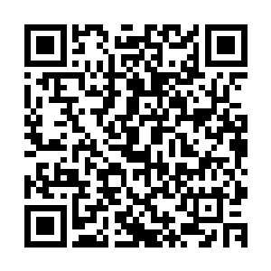 只能选择了开启反弹敌人一切招数的大吴神将周瑜的洞察之魄二维码生成