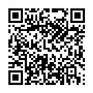 只能隐约听到他那犹如野兽般的嘶吼声……让人胆战心惊二维码生成