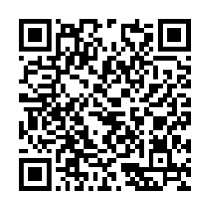 只能隐隐的在夜色中闻到淡淡的草木和花朵的清香二维码生成