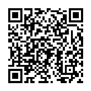 只能靠着我的女儿的出现给她一点生的希望的时候二维码生成