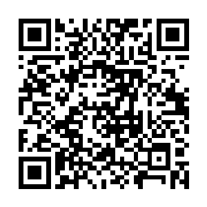 只能顺手逮住想要溜走的刺客霍利其实也不是霍利无能二维码生成