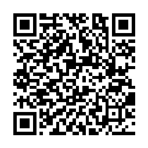 只能顾了辆马车把已经醉到不醒人世的黄泉给塞进去二维码生成