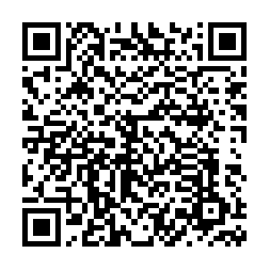只花了一个低级晶核就从一个普通人手里买到关于维京基地的信息二维码生成