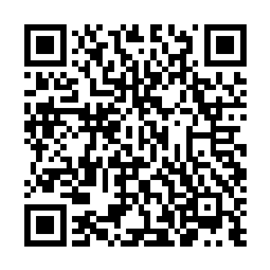 只要一句无歌词就足以将他们可以评价的分数给打到最低二维码生成