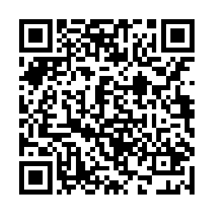 只要一想到有朝一日自己居然成了别人眼中的软柿子二维码生成