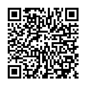 只要一想到自己家里的卧室里有只胖墩墩的熊猫爬来爬去二维码生成