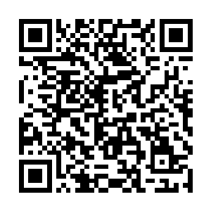 只要下做我天龙宗的长老的话那么这件东西就归你了二维码生成