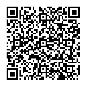 只要不在现在热门的航道水道自己在挂上保护蓝鳍金枪鱼的幌子这事儿并不是太难二维码生成