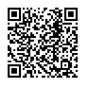 只要不断地积累元力就能够将自己的修为推升上去二维码生成