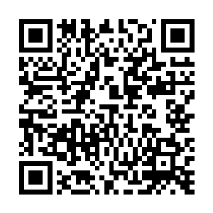 只要不露头她现在还有机会假装自己只是只普通的三花猫二维码生成