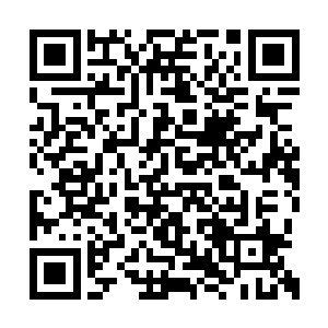 只要主宰没有为了突破至尊而做出泯灭人性的事二维码生成