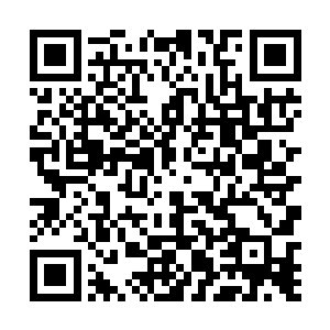 只要二师兄想好了需要什么样的先天仙宝告诉师妹就行二维码生成