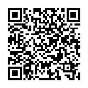 只要仔细想想发生在李耀道友身上的一切就知道了二维码生成