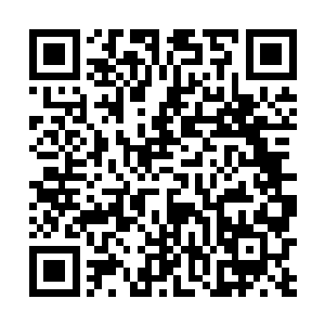 只要他去了西陵无论是西陵皇还是镇南王必定得拉拢他二维码生成