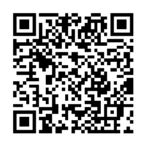 只要他将账簿送到市政府的检察机关或者是公安局去二维码生成