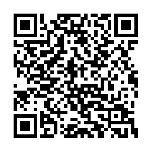 只要他开口说话了……我就有借口针对他了……二维码生成