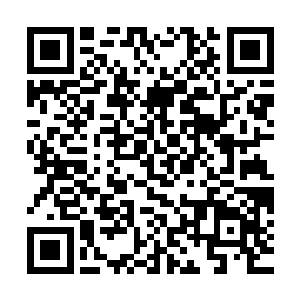 只要仙界圣级大修士的数量超过了圣级混沌兽和域外天魔的数量二维码生成